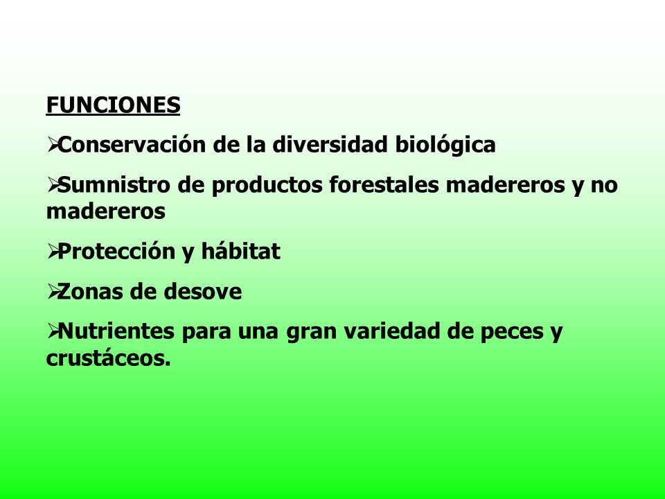 FUNCIONES Conservación de la diversidad biológica. Sumnistro de productos forestales madereros y no madereros.