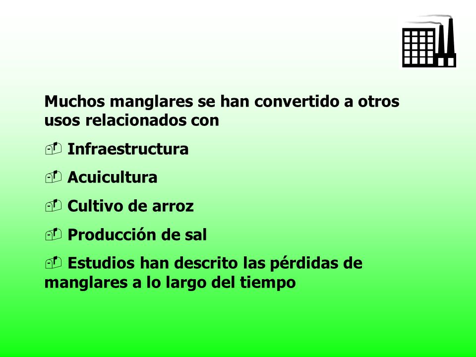 Muchos manglares se han convertido a otros usos relacionados con