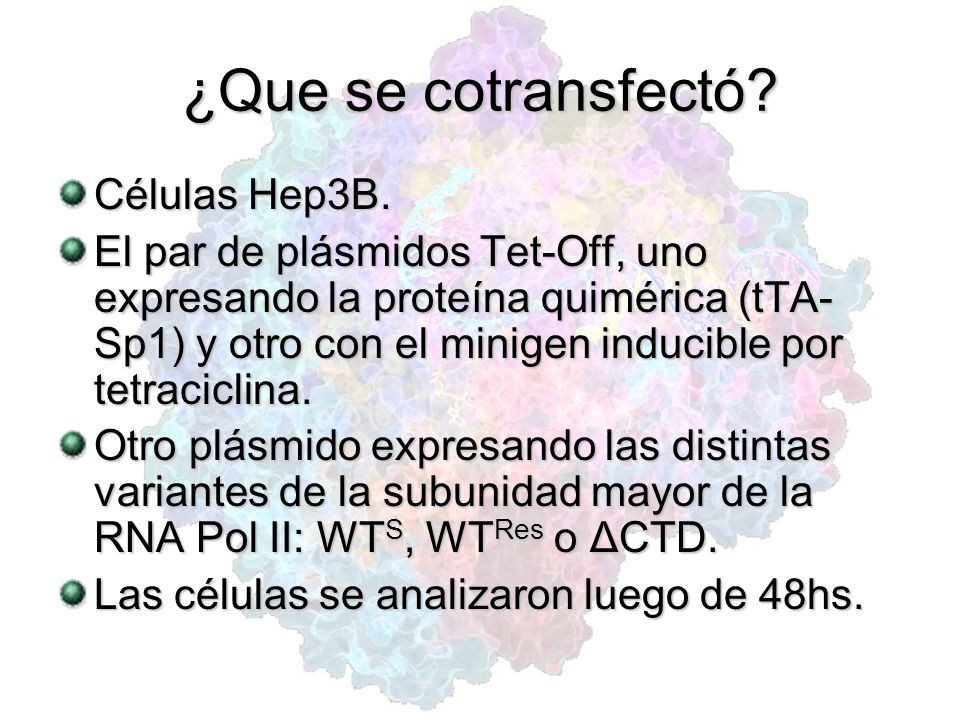 ¿Que se cotransfectó Células Hep3B.