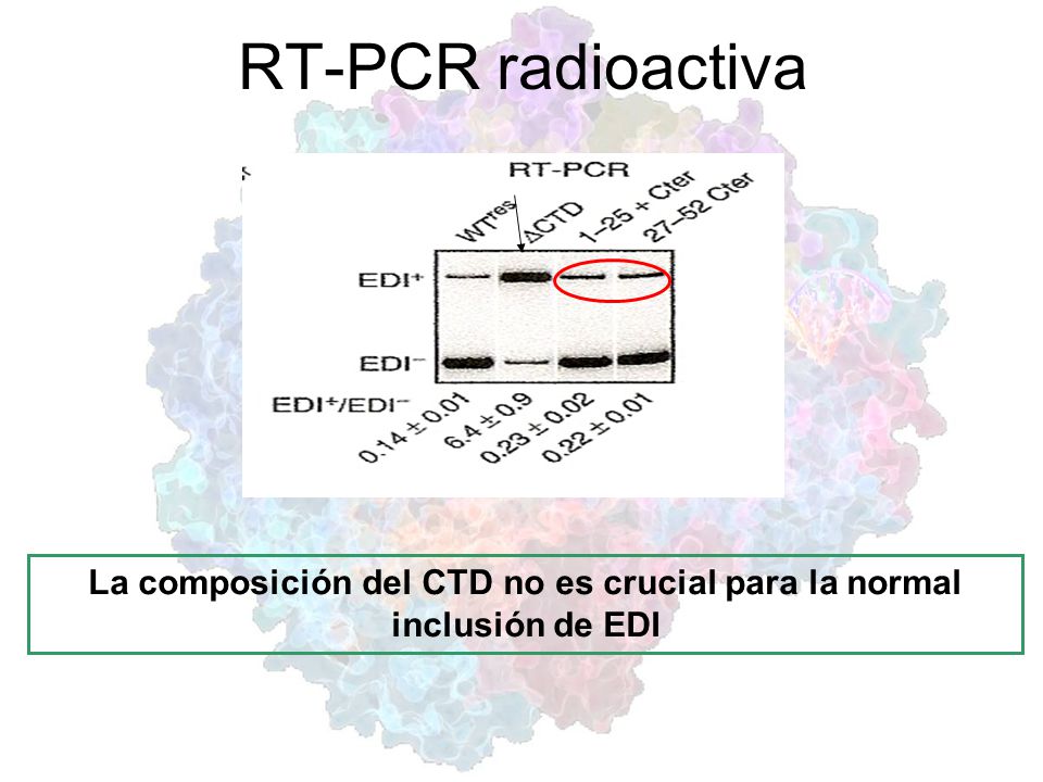 La composición del CTD no es crucial para la normal inclusión de EDI