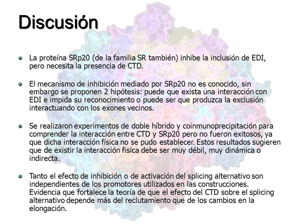 Discusión La proteína SRp20 (de la familia SR también) inhibe la inclusión de EDI, pero necesita la presencia de CTD.