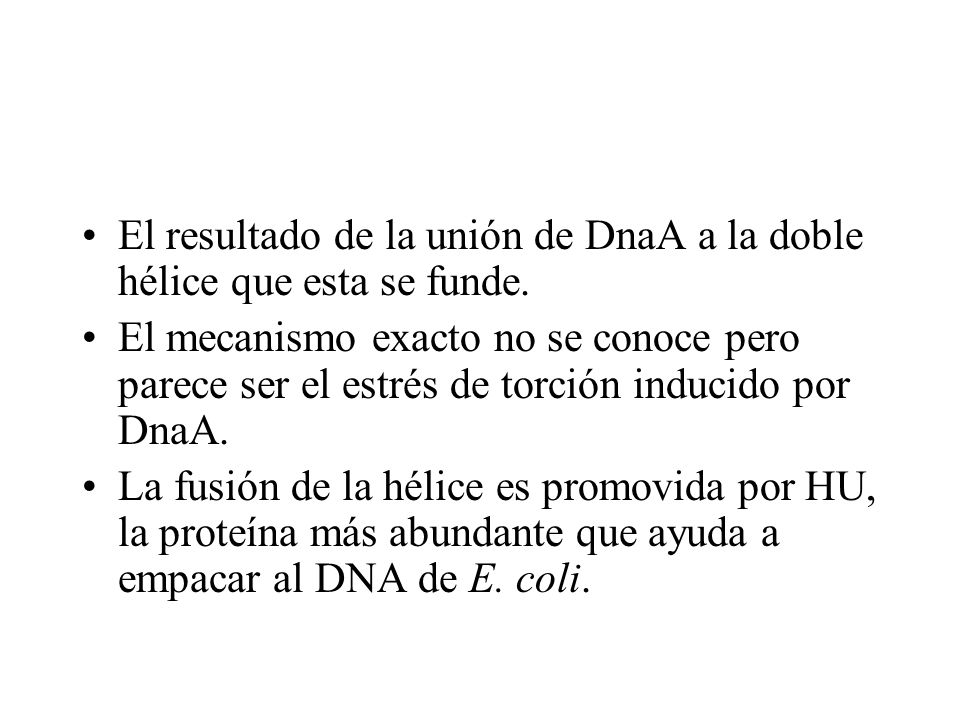 El resultado de la unión de DnaA a la doble hélice que esta se funde.