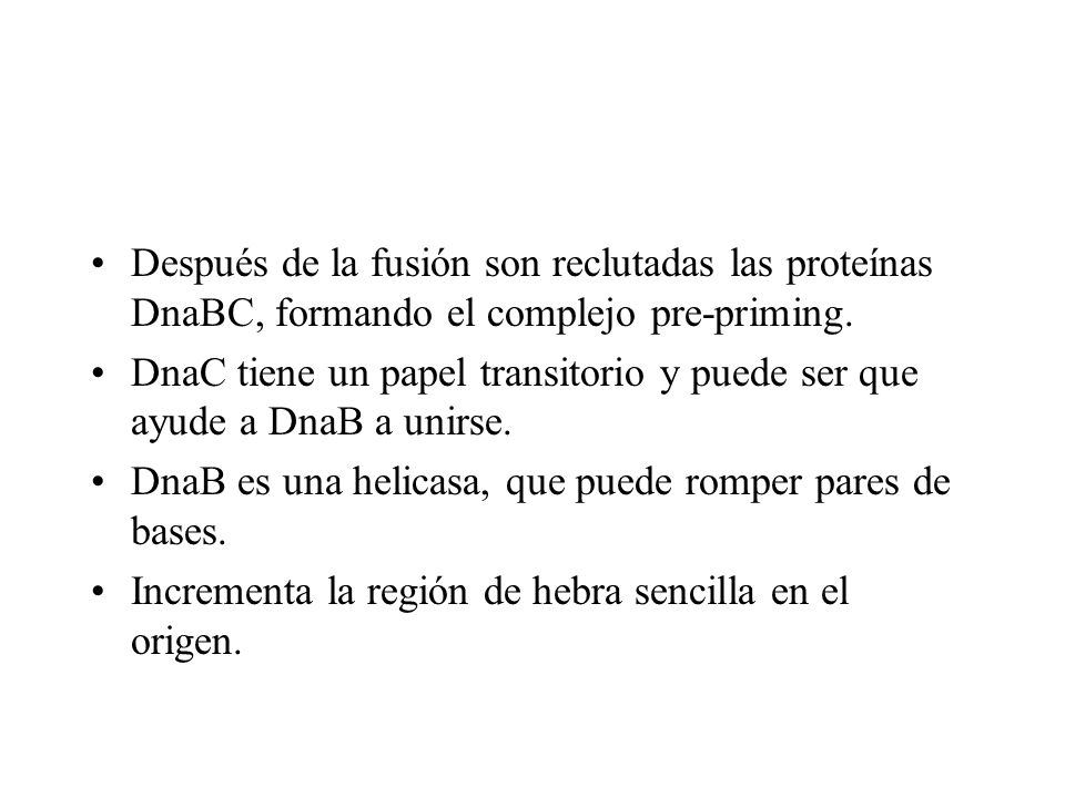 Después de la fusión son reclutadas las proteínas DnaBC, formando el complejo pre-priming.