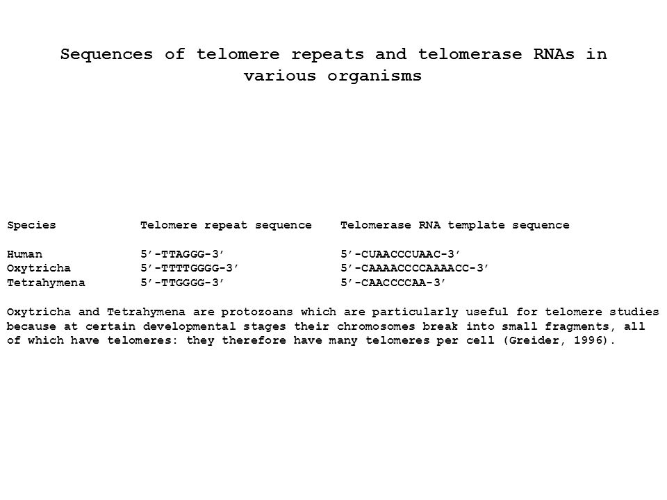 Sequences of telomere repeats and telomerase RNAs in various organisms