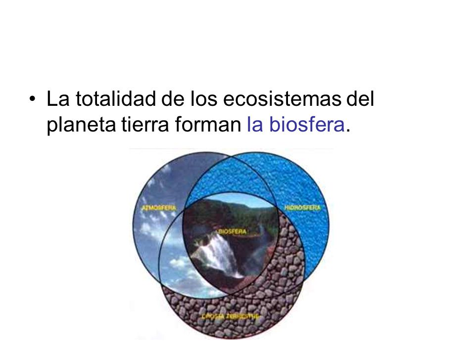 La totalidad de los ecosistemas del planeta tierra forman la biosfera.