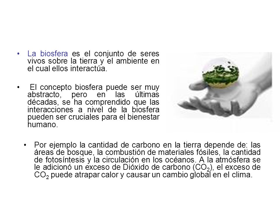 La biosfera es el conjunto de seres vivos sobre la tierra y el ambiente en el cual ellos interactúa.