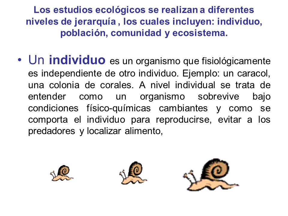 Los estudios ecológicos se realizan a diferentes niveles de jerarquía , los cuales incluyen: individuo, población, comunidad y ecosistema.
