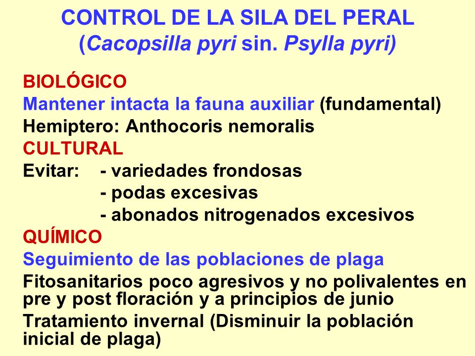 CONTROL DE LA SILA DEL PERAL (Cacopsilla pyri sin. Psylla pyri)