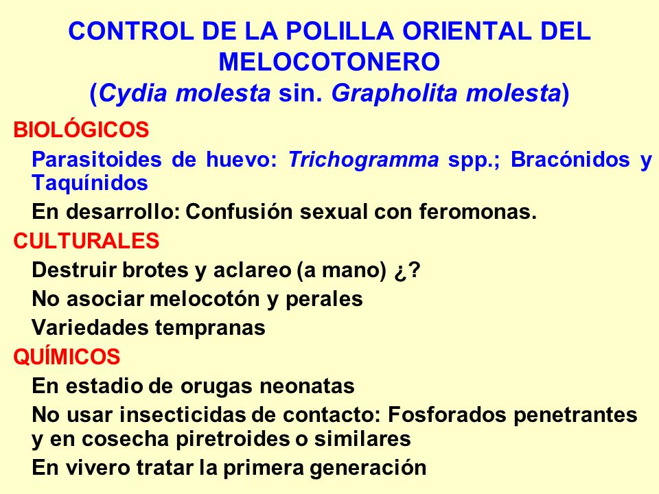 CONTROL DE LA POLILLA ORIENTAL DEL MELOCOTONERO (Cydia molesta sin