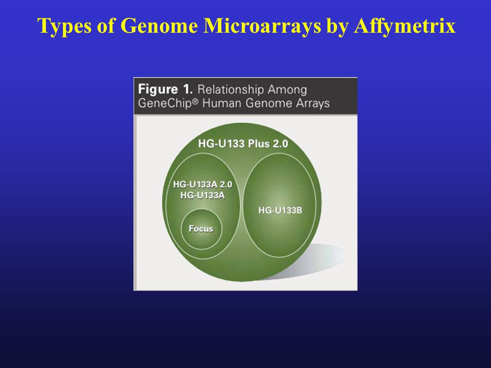 Types of Genome Microarrays by Affymetrix