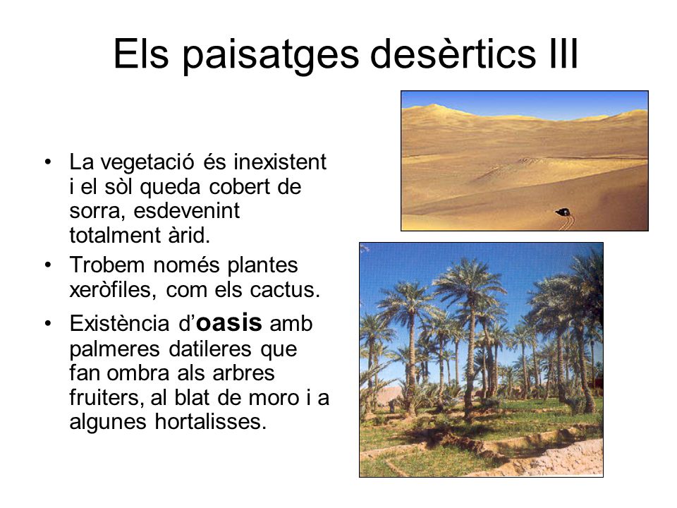 Els paisatges desèrtics III