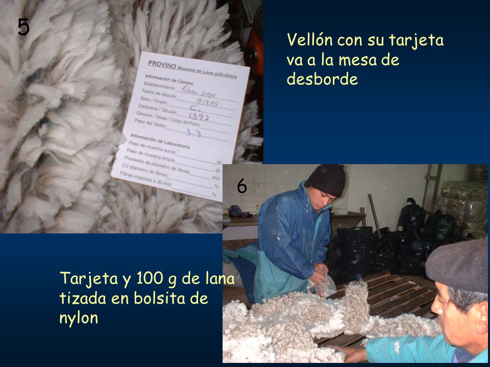 5 6 Vellón con su tarjeta va a la mesa de desborde