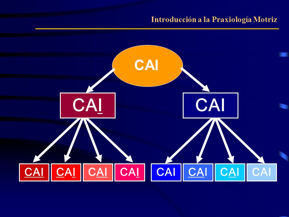 CAI CAI CAI CAI CAI CAI CAI CAI CAI CAI CAI