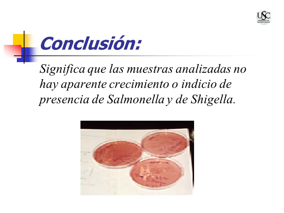 Conclusión: Significa que las muestras analizadas no hay aparente crecimiento o indicio de presencia de Salmonella y de Shigella.