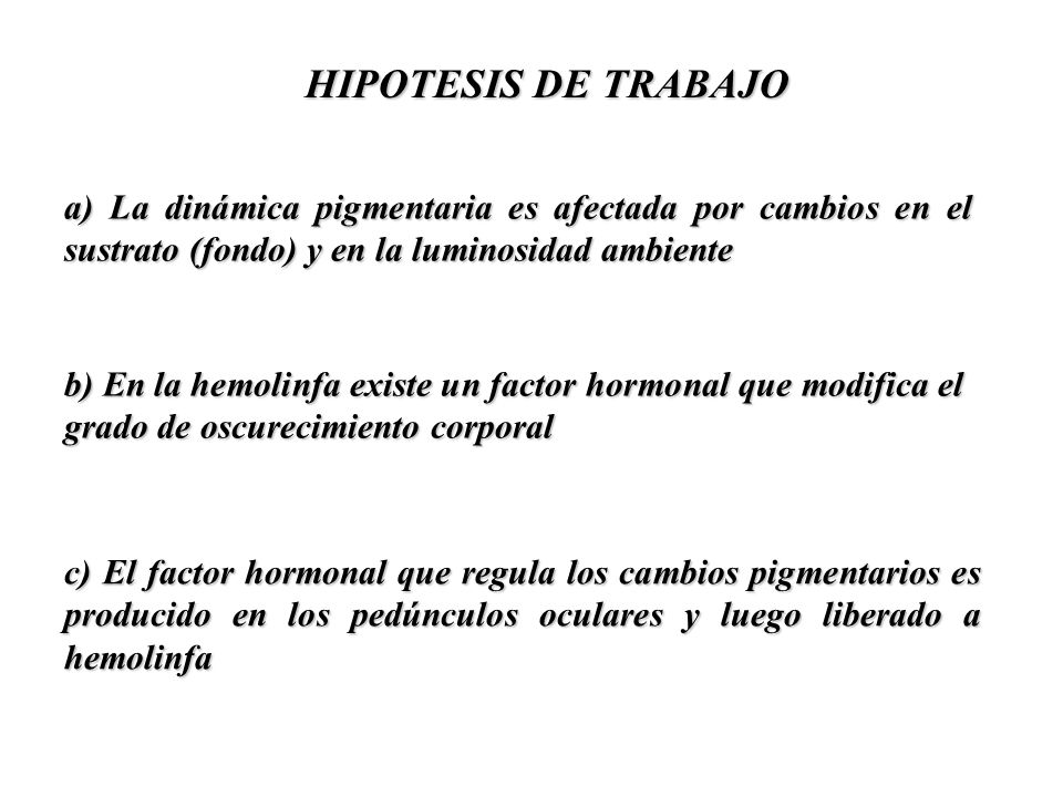 HIPOTESIS DE TRABAJO a) La dinámica pigmentaria es afectada por cambios en el sustrato (fondo) y en la luminosidad ambiente.