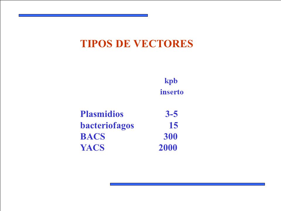 TIPOS DE VECTORES kpb Plasmidios 3-5 bacteriofagos 15 BACS 300