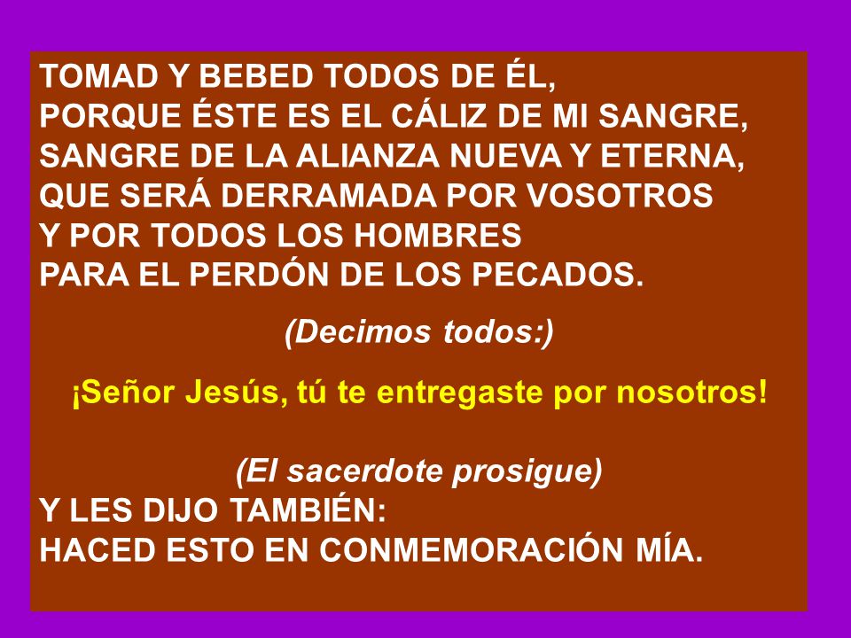 ¡Señor Jesús, tú te entregaste por nosotros! (El sacerdote prosigue)