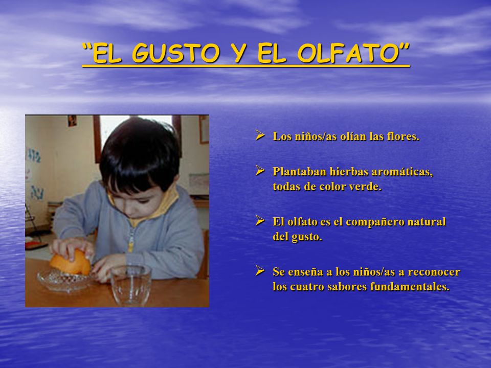 EL GUSTO Y EL OLFATO Los niños/as olían las flores.