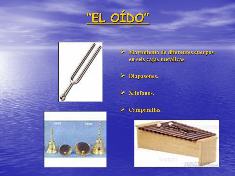 EL OÍDO Movimiento de diferentes cuerpos en seis cajas metálicas.