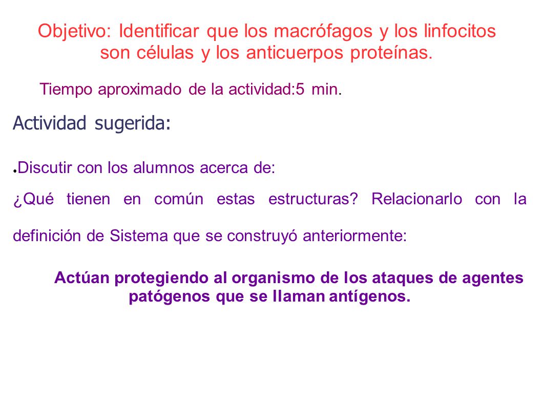Objetivo: Identificar que los macrófagos y los linfocitos son células y los anticuerpos proteínas.