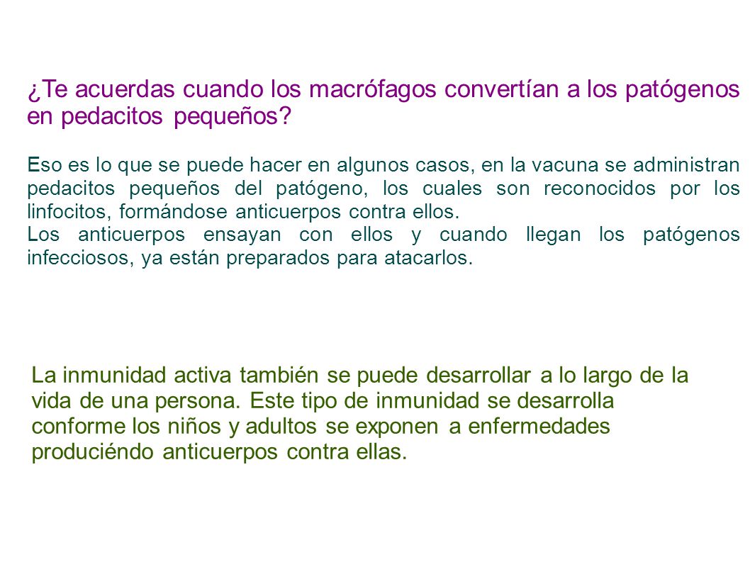 ¿Te acuerdas cuando los macrófagos convertían a los patógenos en pedacitos pequeños