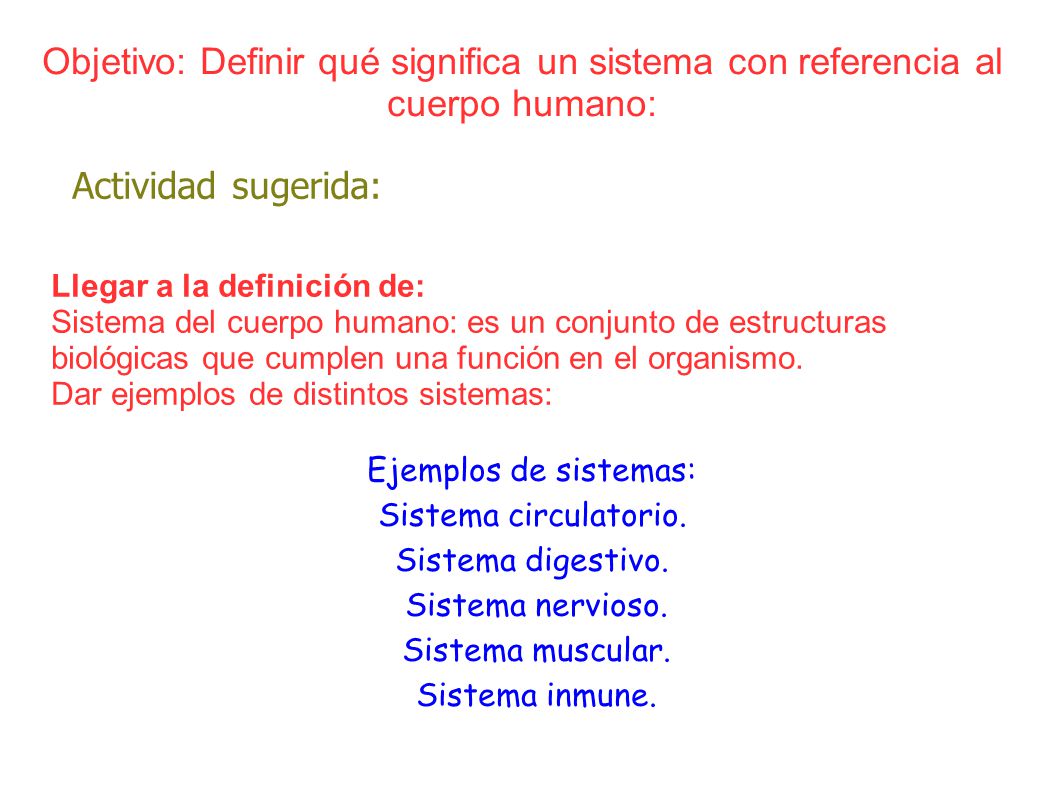Objetivo: Definir qué significa un sistema con referencia al cuerpo humano: