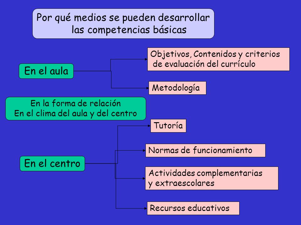 Por qué medios se pueden desarrollar las competencias básicas