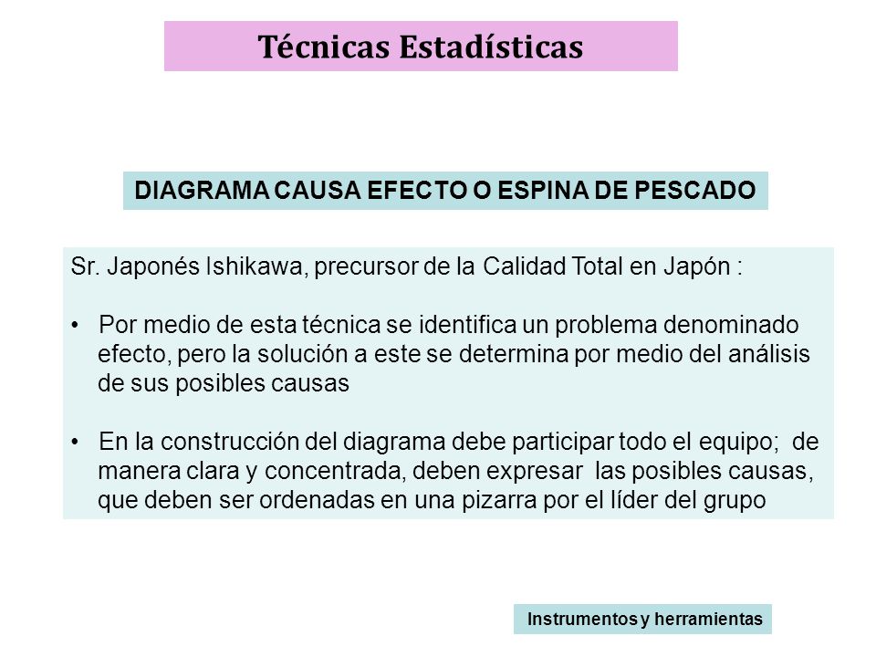 Técnicas Estadísticas DIAGRAMA CAUSA EFECTO O ESPINA DE PESCADO