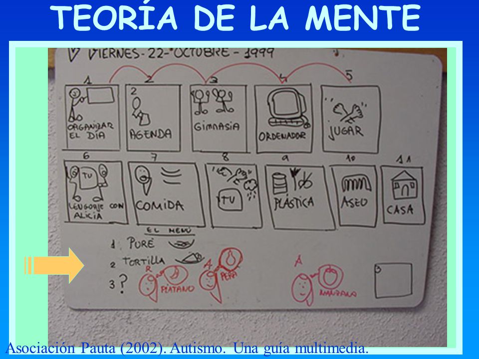 TEORÍA DE LA MENTE Asociación Pauta (2002). Autismo. Una guía multimedia.