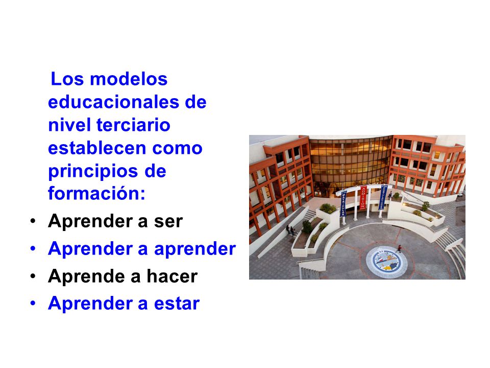 Los modelos educacionales de nivel terciario establecen como principios de formación: