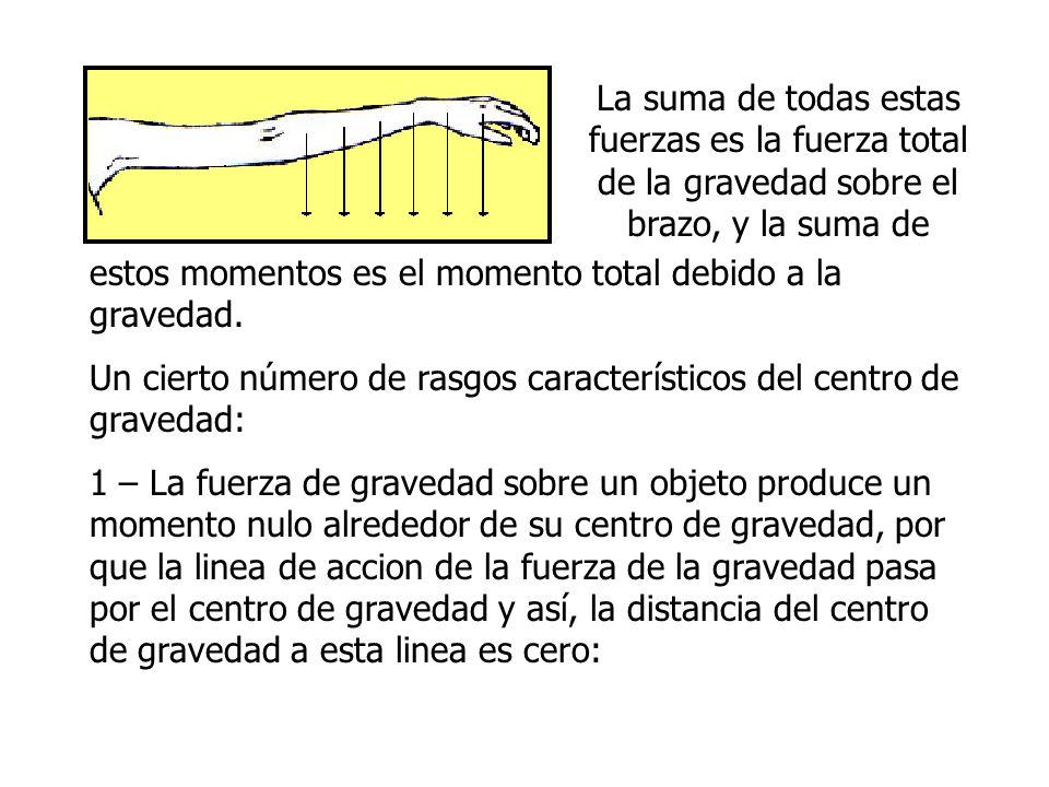 La suma de todas estas fuerzas es la fuerza total de la gravedad sobre el brazo, y la suma de