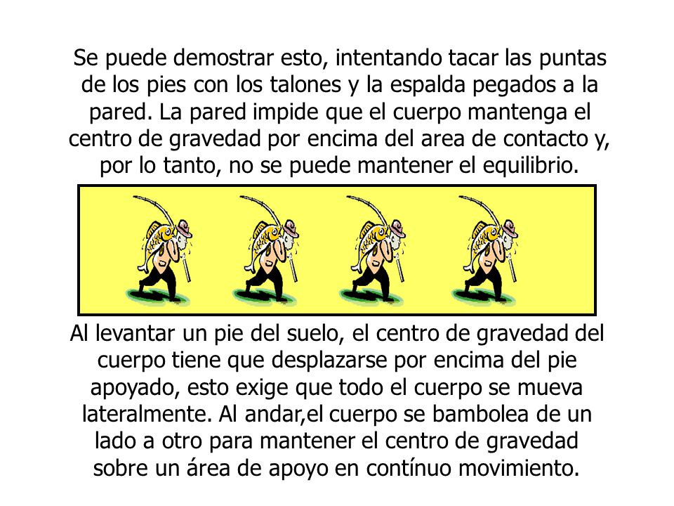 Se puede demostrar esto, intentando tacar las puntas de los pies con los talones y la espalda pegados a la pared. La pared impide que el cuerpo mantenga el centro de gravedad por encima del area de contacto y, por lo tanto, no se puede mantener el equilibrio.