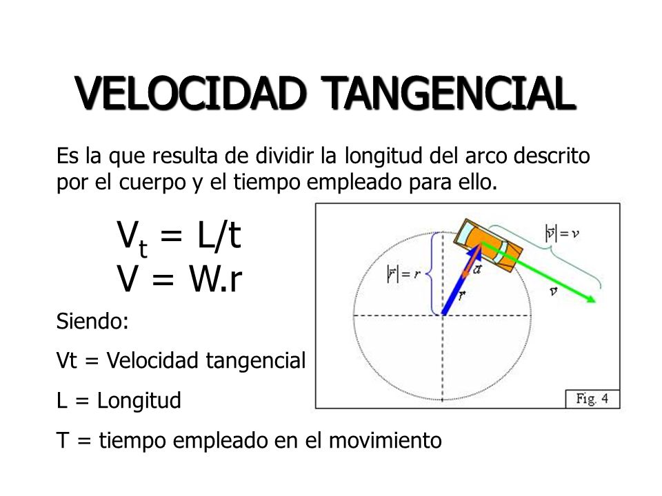 VELOCIDAD TANGENCIAL VELOCIDAD TANGENCIAL Vt = L/t V = W.r