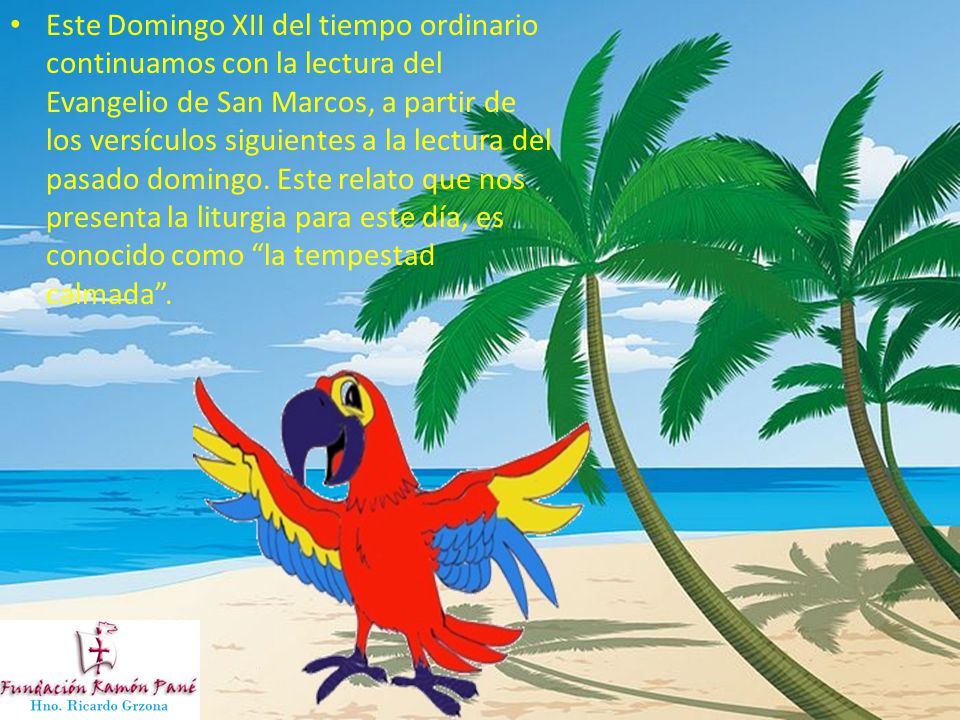 Este Domingo XII del tiempo ordinario continuamos con la lectura del Evangelio de San Marcos, a partir de los versículos siguientes a la lectura del pasado domingo.