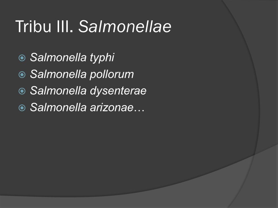 Tribu III. Salmonellae Salmonella typhi Salmonella pollorum