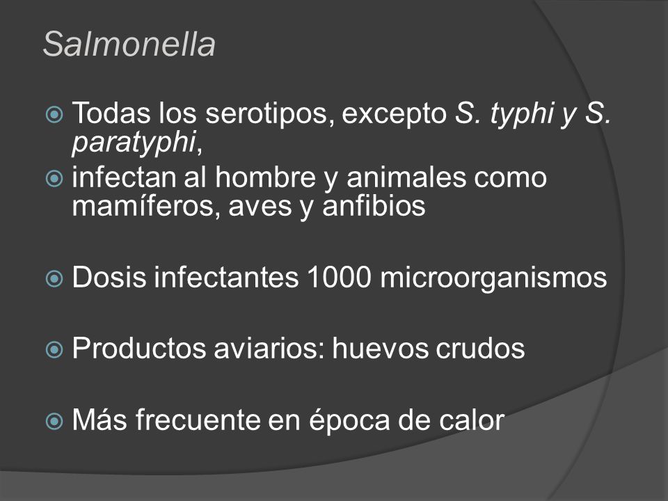 Salmonella Todas los serotipos, excepto S. typhi y S. paratyphi,