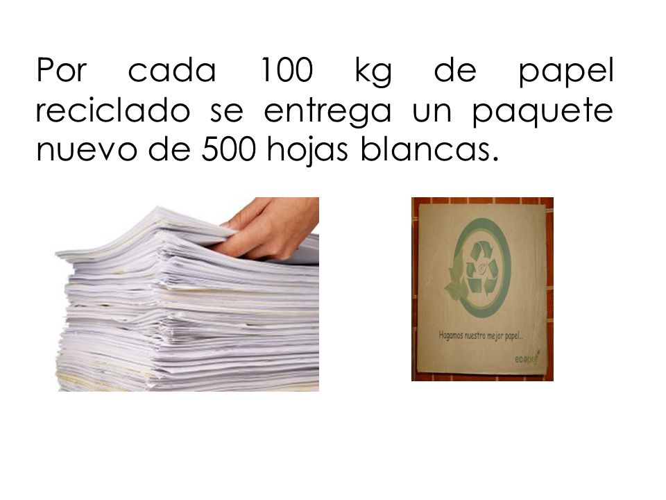 Por cada 100 kg de papel reciclado se entrega un paquete nuevo de 500 hojas blancas.