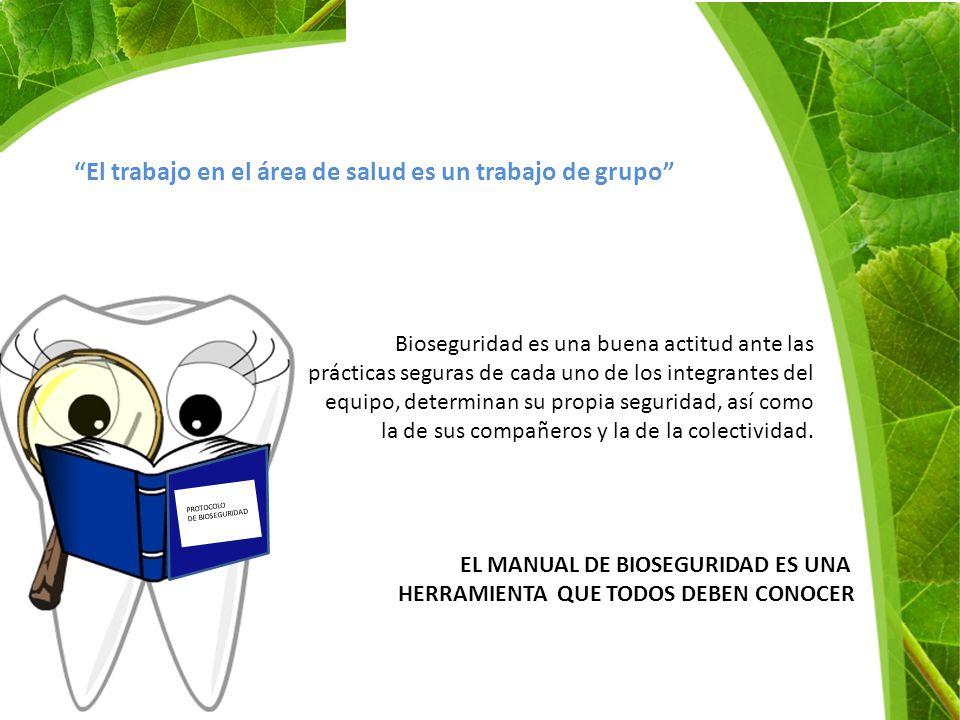 El trabajo en el área de salud es un trabajo de grupo