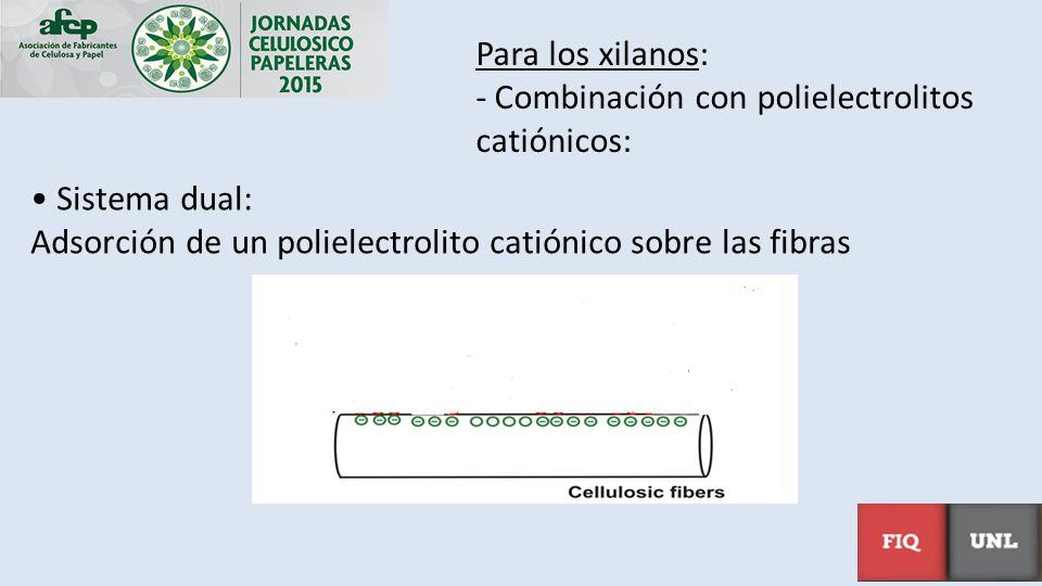 Para los xilanos: Combinación con polielectrolitos catiónicos: Sistema dual: Adsorción de un polielectrolito catiónico sobre las fibras.