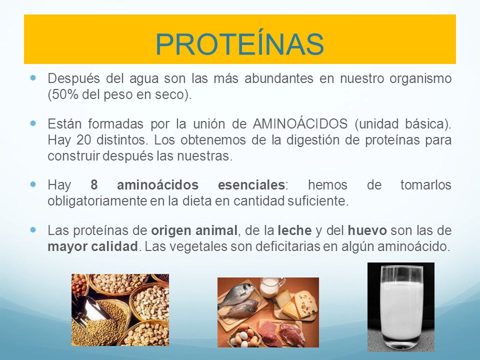 PROTEÍNAS Después del agua son las más abundantes en nuestro organismo (50% del peso en seco).