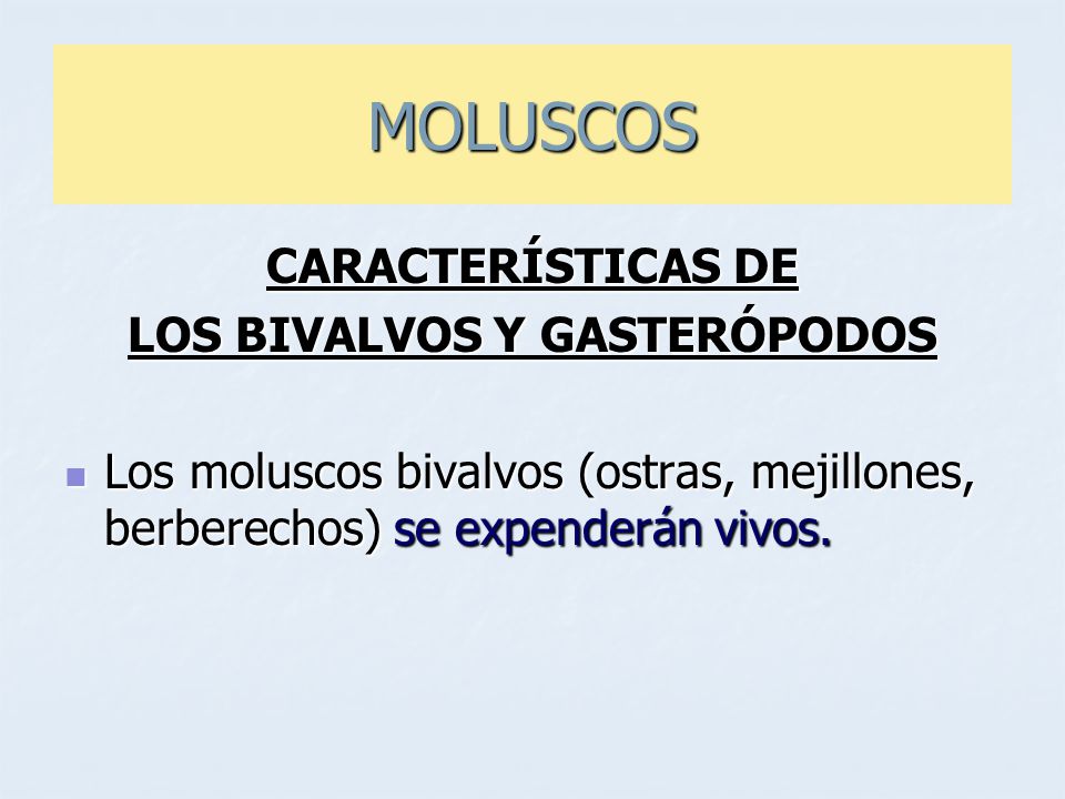 LOS BIVALVOS Y GASTERÓPODOS
