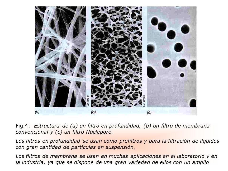 Fig.4: Estructura de (a) un filtro en profundidad, (b) un filtro de membrana convencional y (c) un filtro Nuclepore.