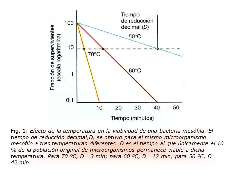 Fig. 1: Efecto de la temperatura en la viabilidad de una bacteria mesófila.