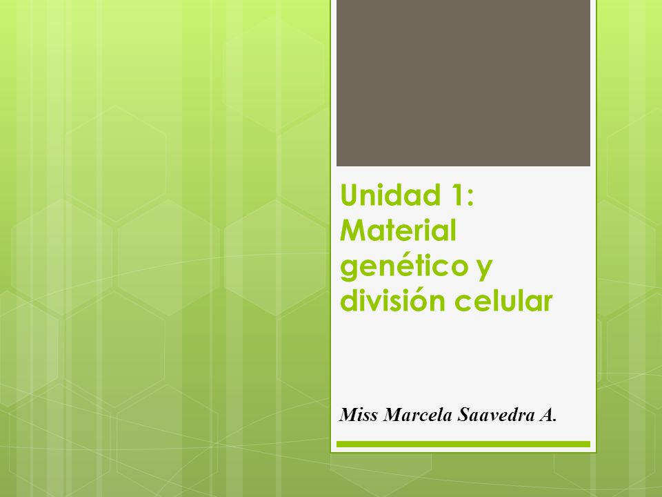 Unidad 1: Material genético y división celular Miss Marcela Saavedra A.