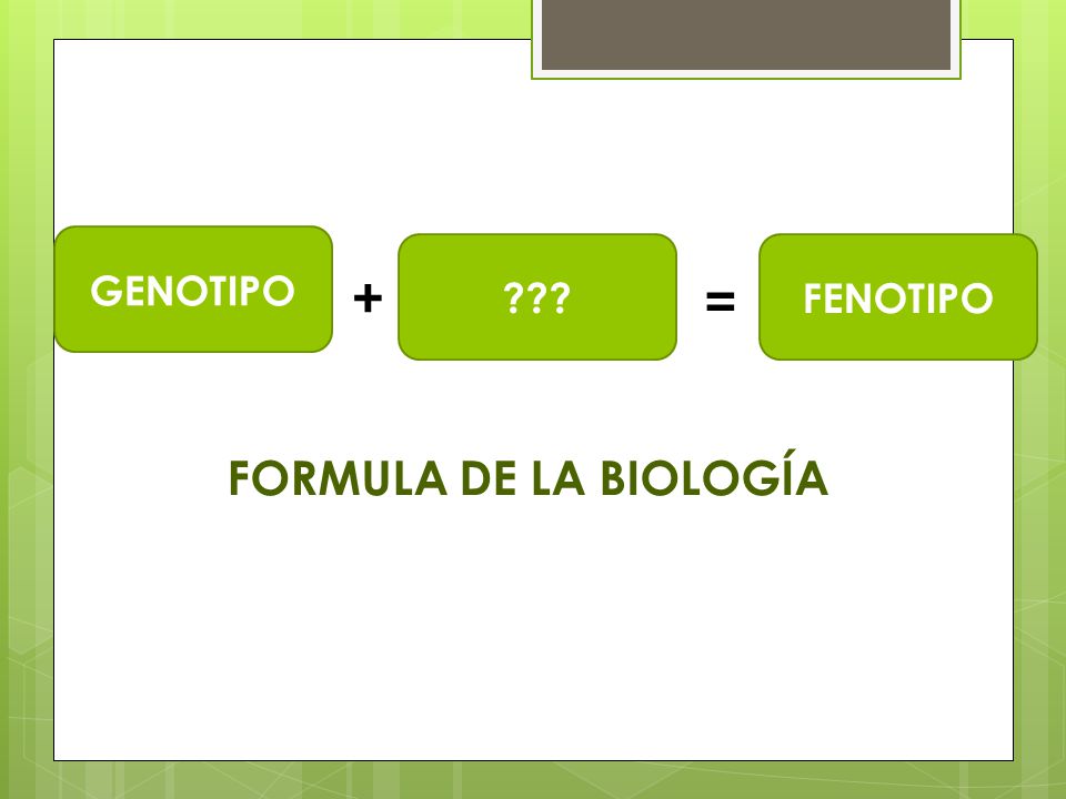GENOTIPO FENOTIPO + = FORMULA DE LA BIOLOGÍA