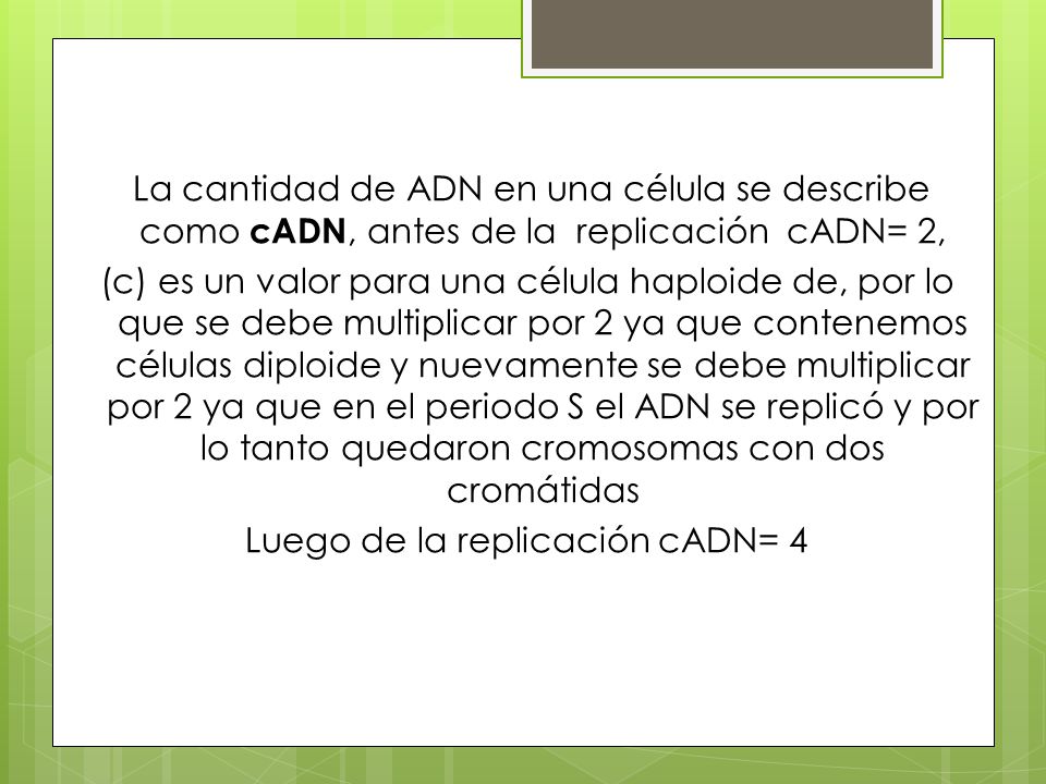 La cantidad de ADN en una célula se describe como cADN, antes de la replicación cADN= 2, (c) es un valor para una célula haploide de, por lo que se debe multiplicar por 2 ya que contenemos células diploide y nuevamente se debe multiplicar por 2 ya que en el periodo S el ADN se replicó y por lo tanto quedaron cromosomas con dos cromátidas Luego de la replicación cADN= 4