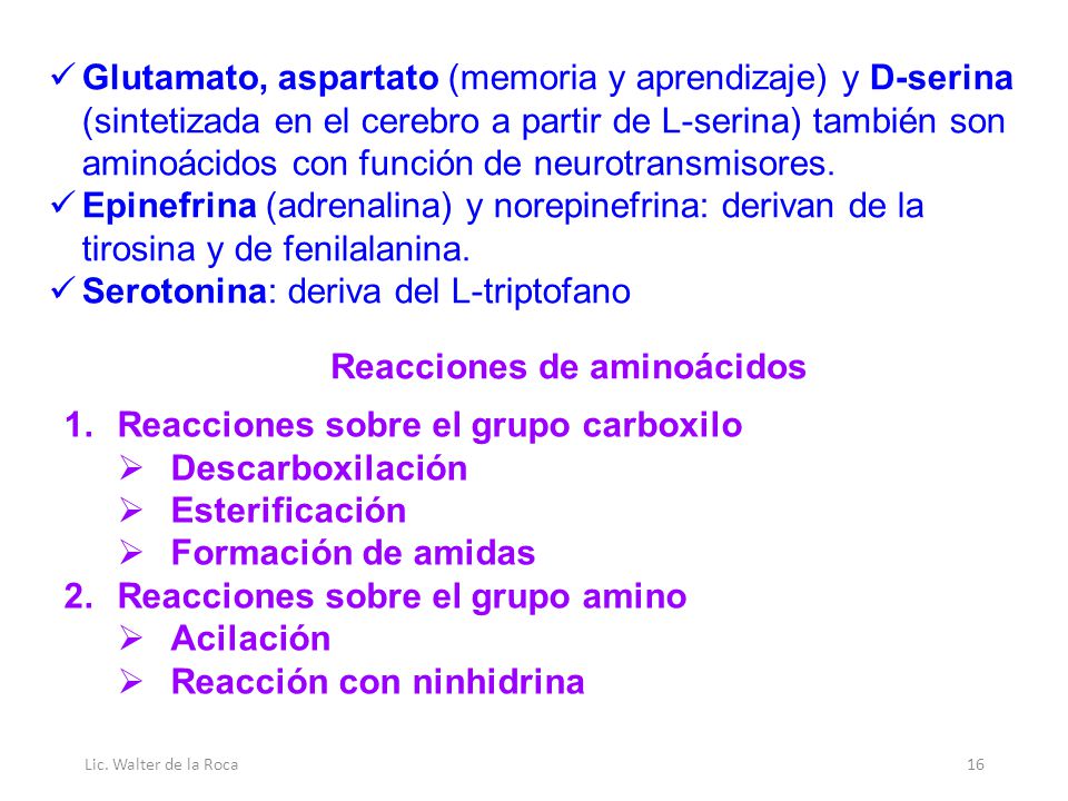 Serotonina: deriva del L-triptofano