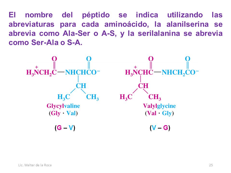 El nombre del péptido se indica utilizando las abreviaturas para cada aminoácido, la alanilserina se abrevia como Ala-Ser o A-S, y la serilalanina se abrevia como Ser-Ala o S-A.