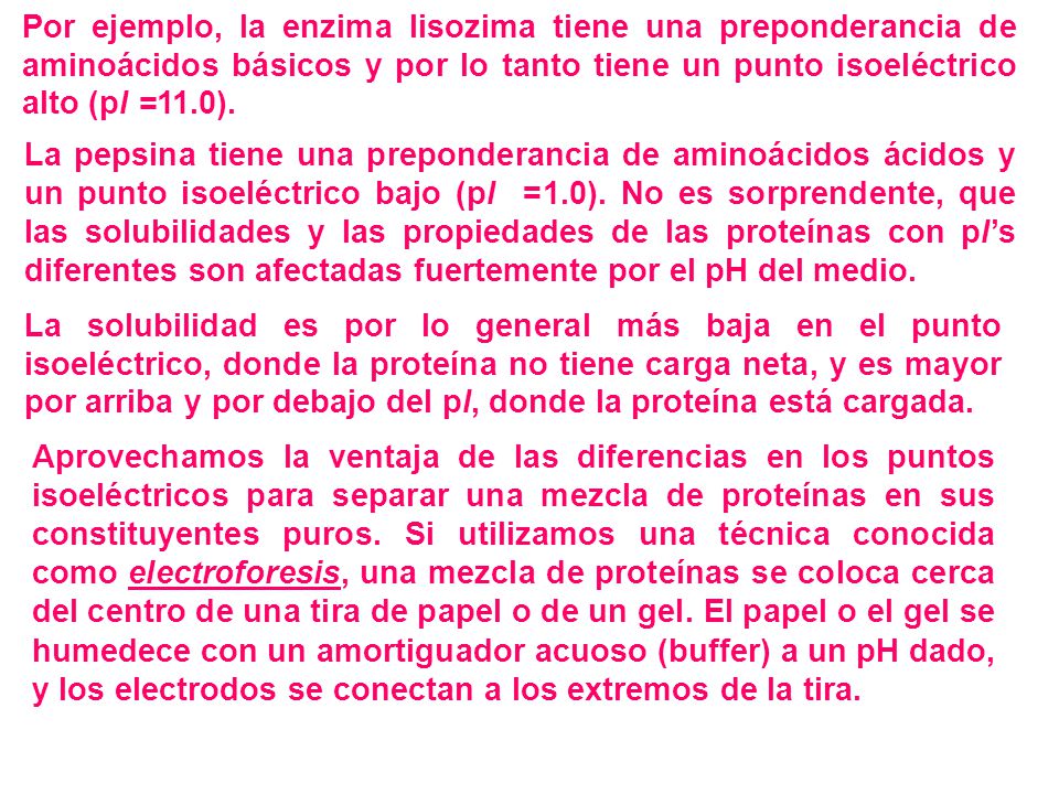Por ejemplo, la enzima lisozima tiene una preponderancia de aminoácidos básicos y por lo tanto tiene un punto isoeléctrico alto (pI =11.0).