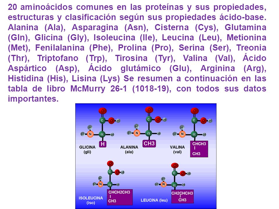 20 aminoácidos comunes en las proteínas y sus propiedades, estructuras y clasificación según sus propiedades ácido-base.